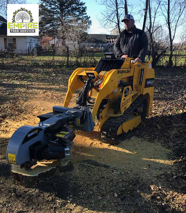 Ornamental & Shrub Pruning