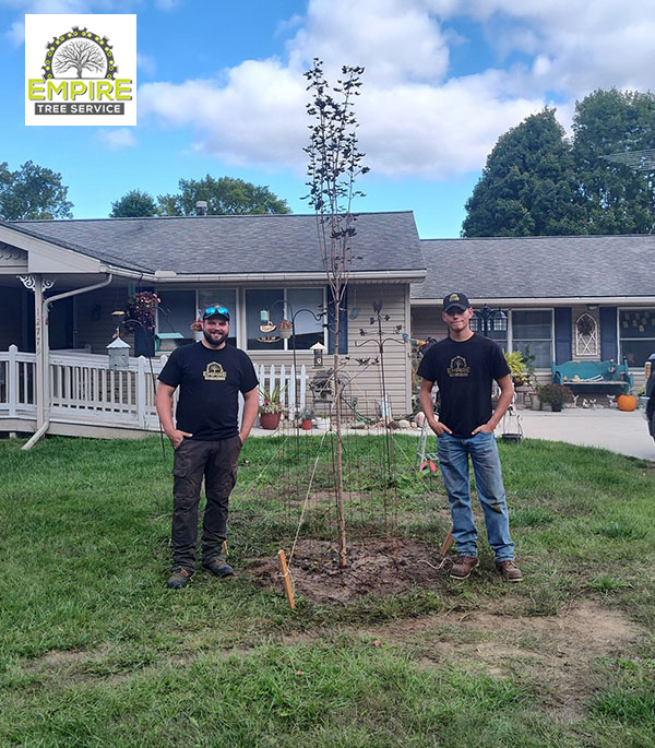 Tree and Shrub Planting